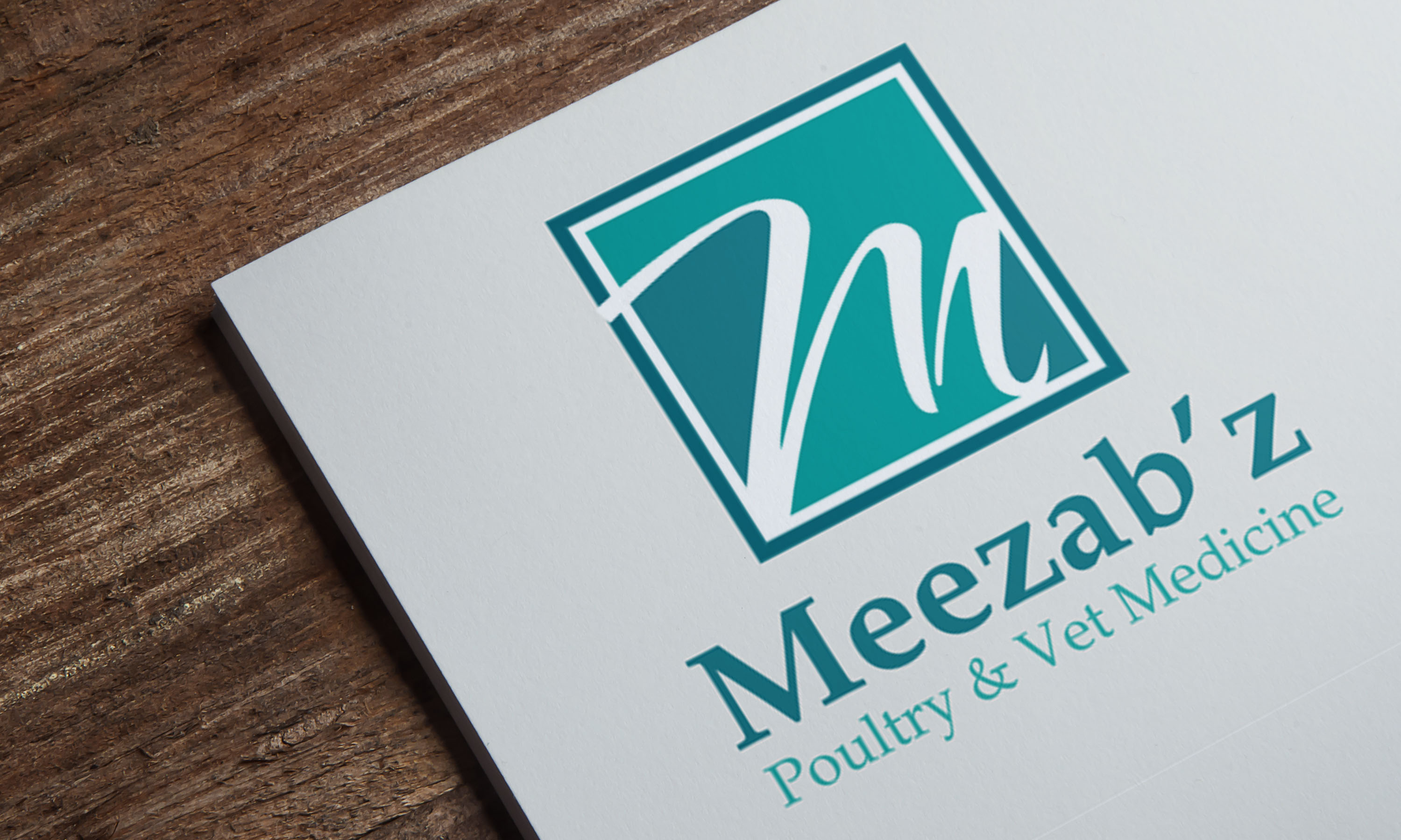 Meezab Z Internal - Veterinary Medicine Branding & Web Services